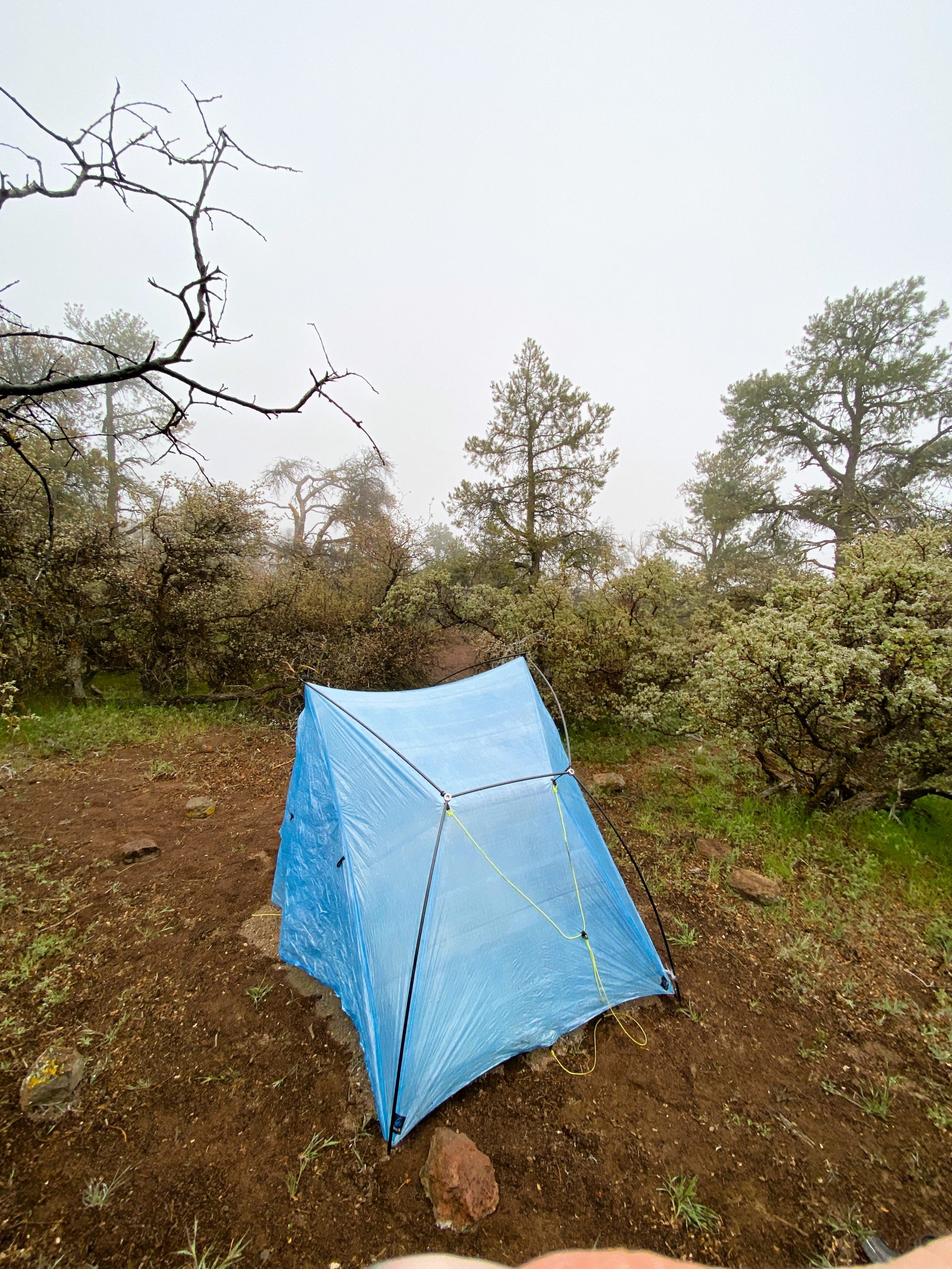  PCT Trail Journal: Day 23 Mile 597.3 to 578.1 tent