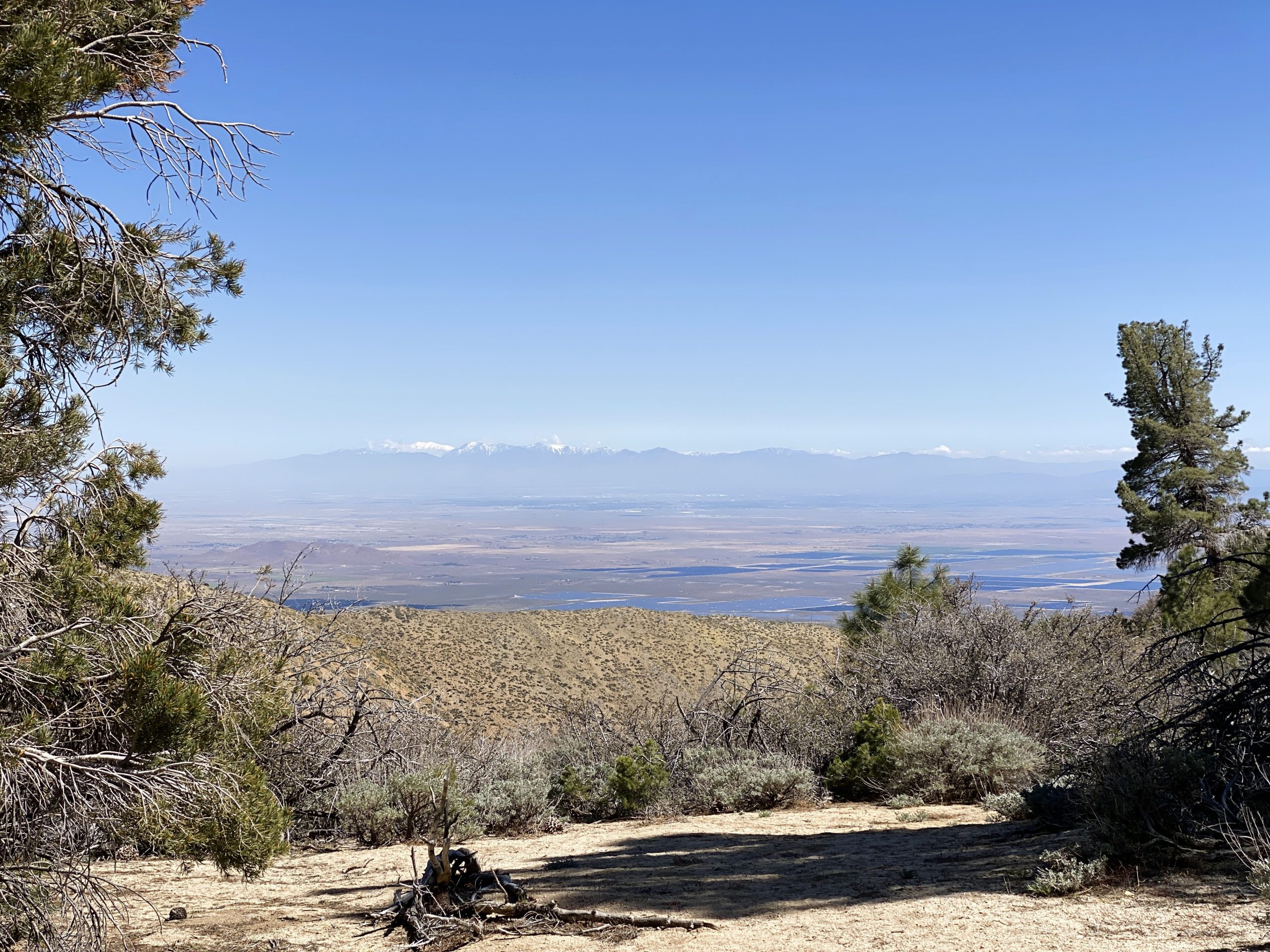 PCT Trail Journal Day 26 Willow Springs to Mile 549.0 views
