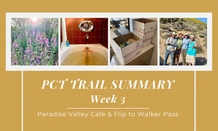 PCT Trail Summary Week 3: 131.6 to Paradise Valley Cafe & Flip to Walker Pass