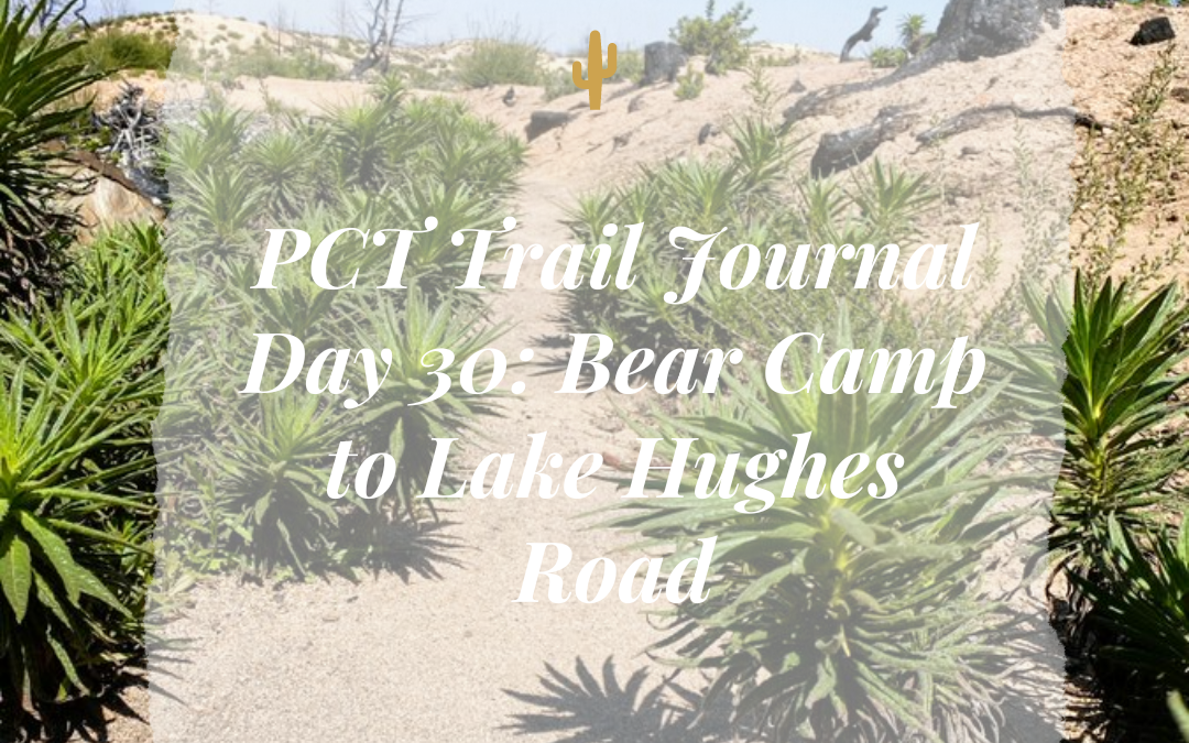 PCT Trail Journal Day 30: Bear Camp to Lake Hughes Road