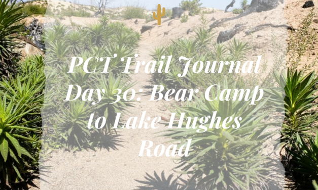 PCT Trail Journal Day 30: Bear Camp to Lake Hughes Road
