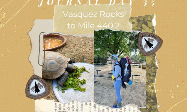 PCT Trail Journal Day 35: Vasquez Rocks to Mile 440.2