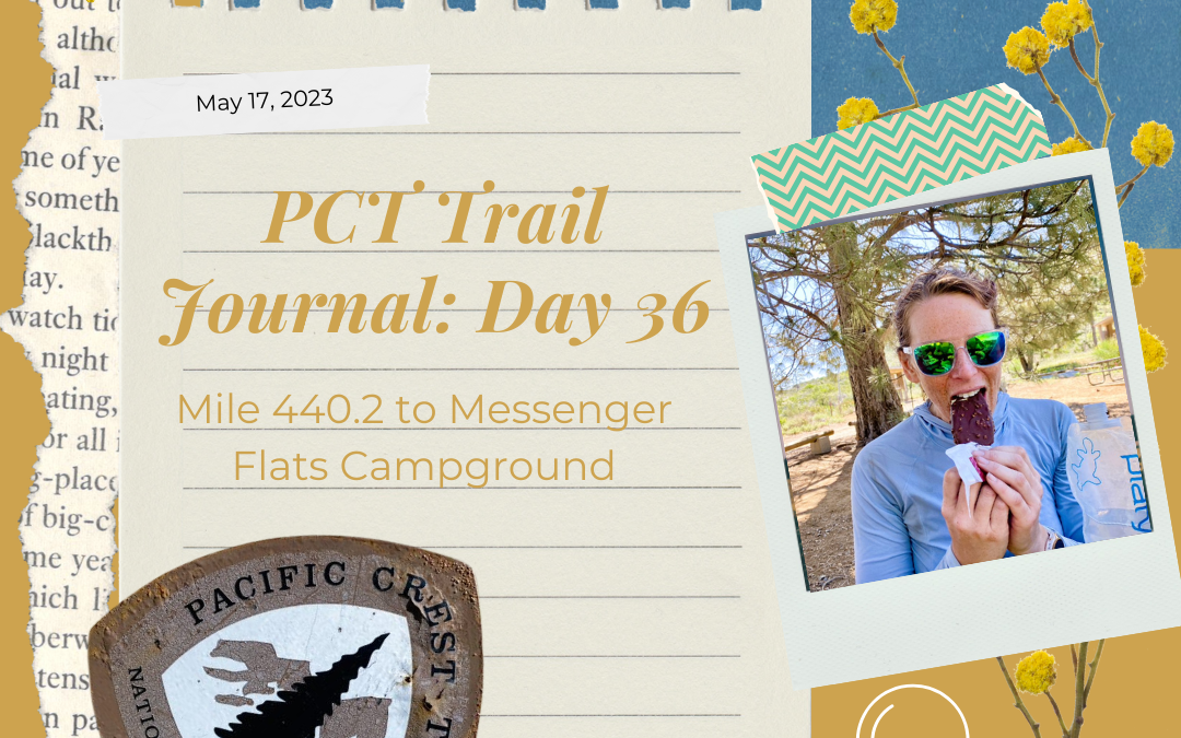 PCT Trail Journal: Day 36 Mile 440.2 to Messenger Flats Campground