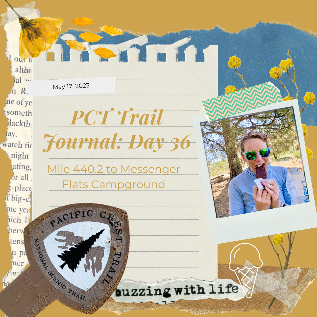 PCT Trail Journal Day 36