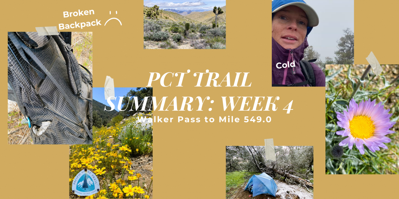 PCT Trail Summary Week 4: Walker Pass to Mile 549.0