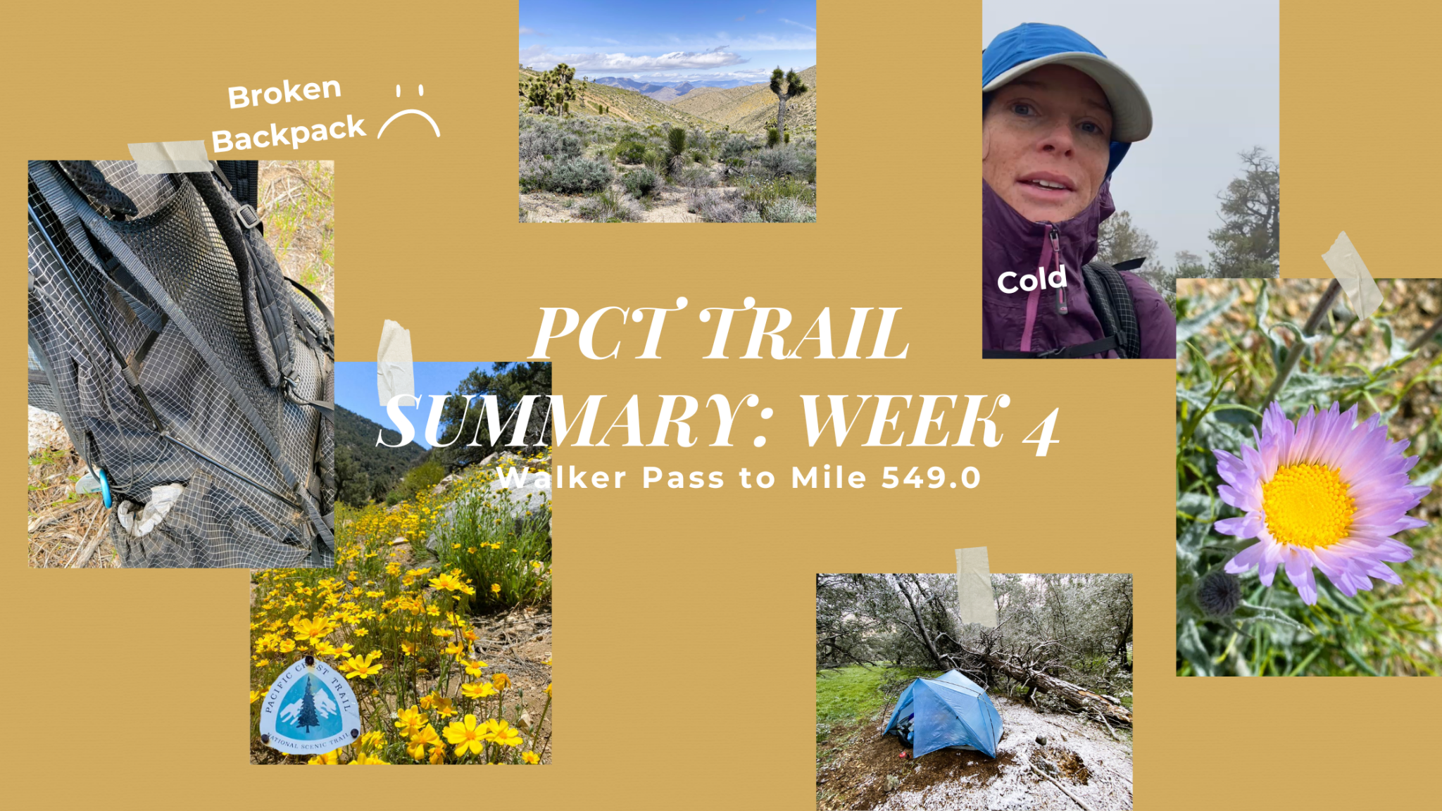 PCT Trail Summary week 4 walker pass to Mile 549.0