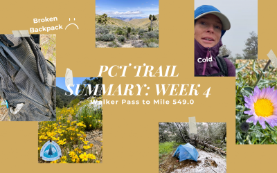 PCT Trail Summary Week 4: Walker Pass to Mile 549.0